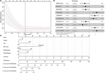 An Immune-Related Gene Pairs Signature for Predicting Survival in Glioblastoma